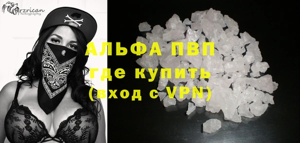 прущие грибы Зеленодольск