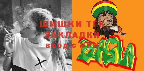 прущие грибы Зеленодольск