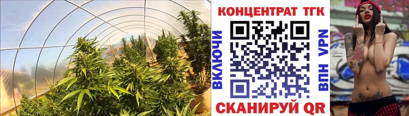 ТГК Wax  Светогорск 